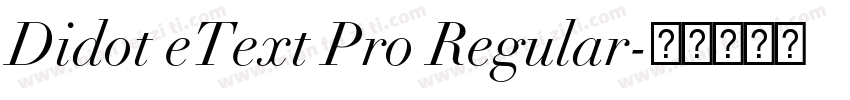 Didot eText Pro Regular字体转换